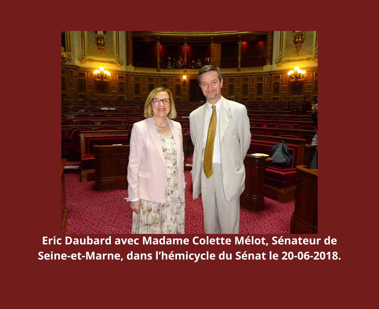 Eric Daubard, Colette Mélot, Senat